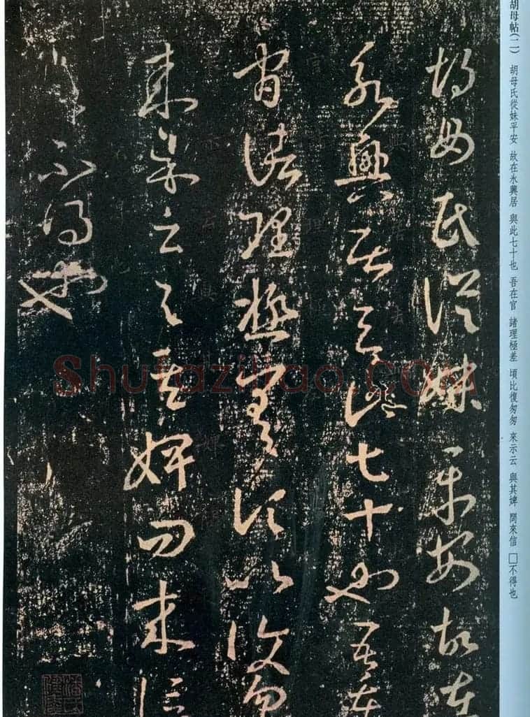 王羲之草书欣赏《胡母帖》三种 | 名家书法作品精选