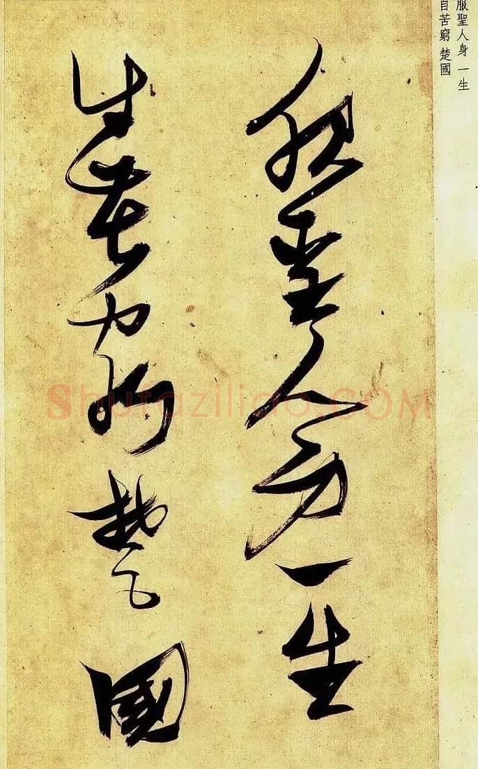 《明张瑞图草书偶然作》册页欣赏 | 毛笔草书字帖