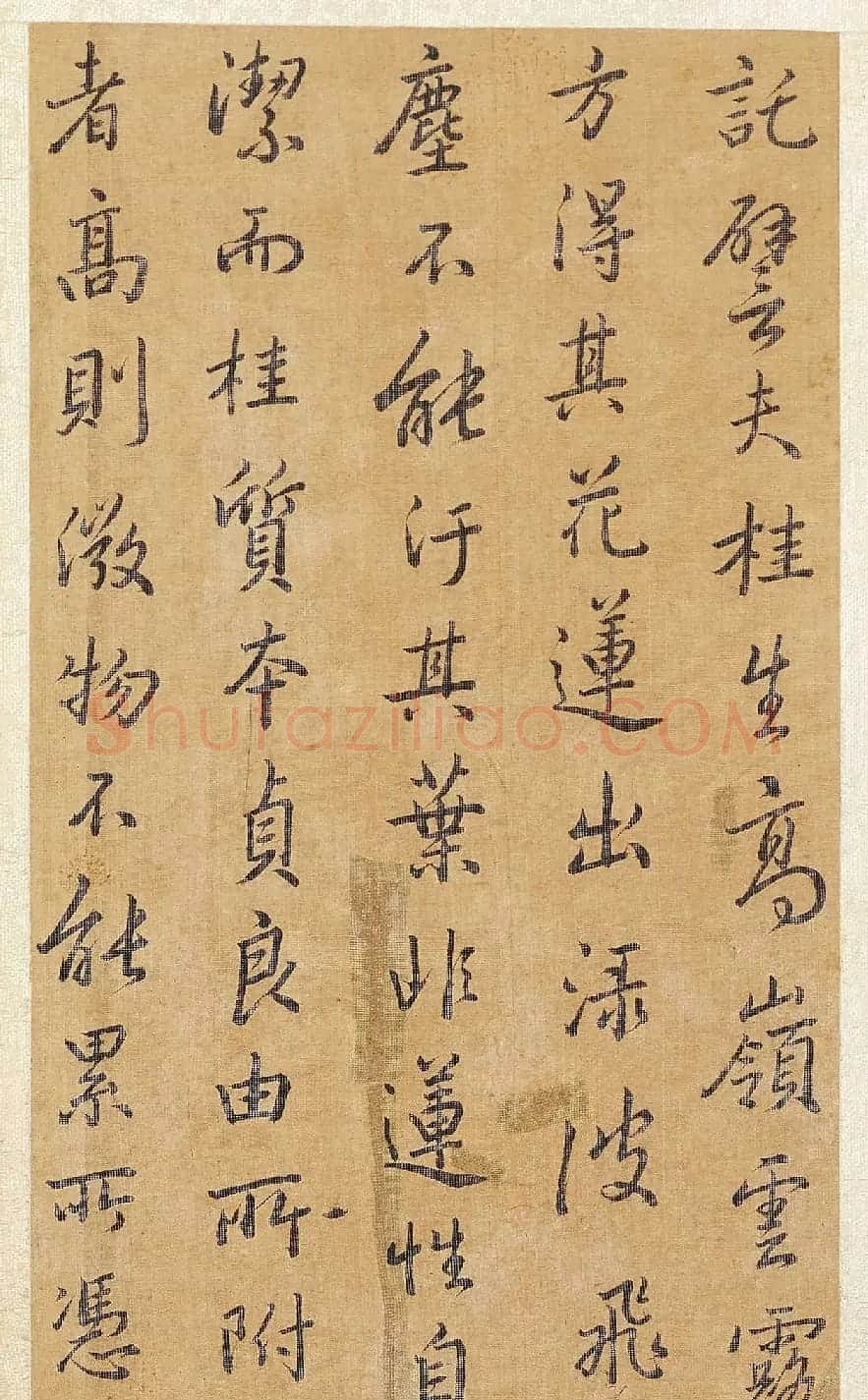 清代方苞行书临圣教序册 | 名家书法作品赏析