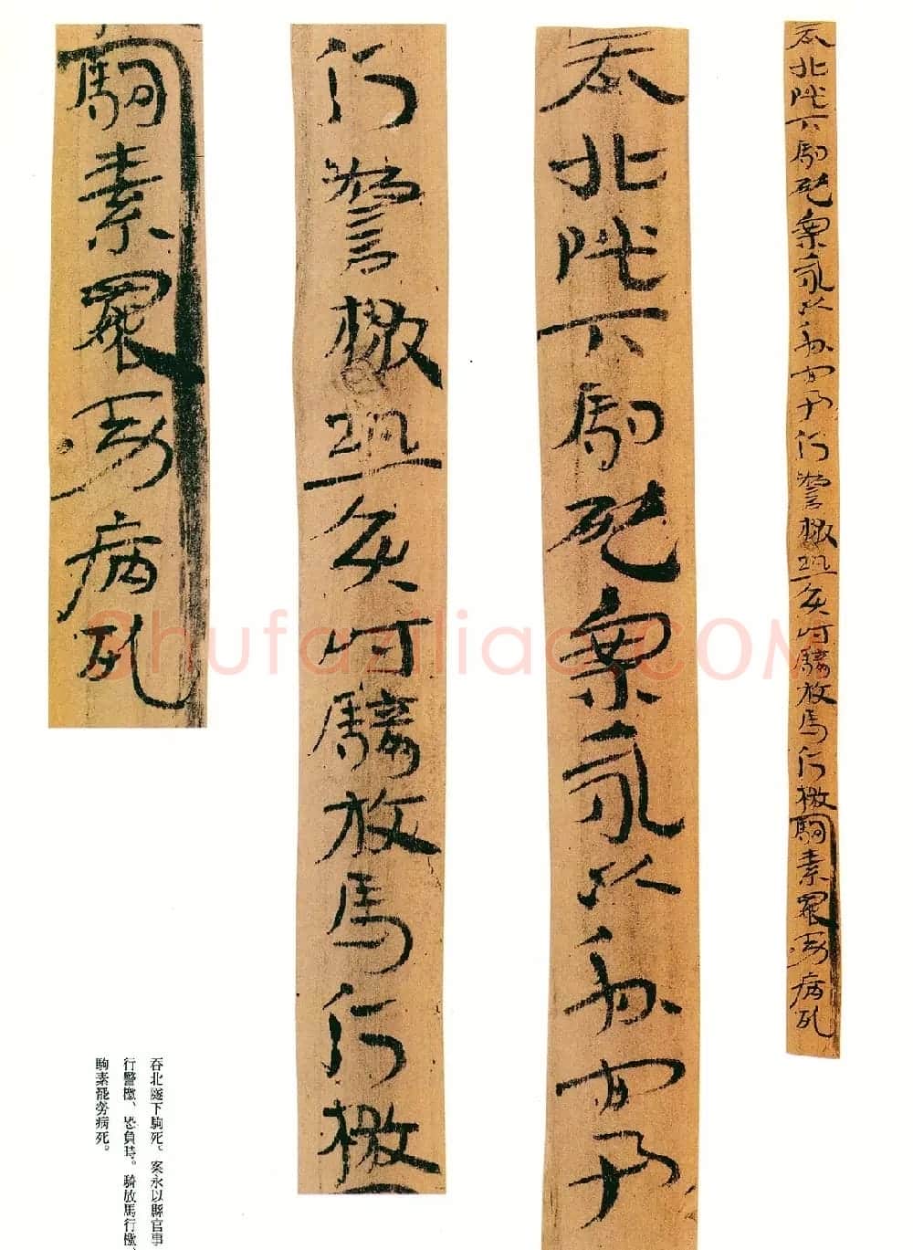 东汉章草隶体木简《误死马驹册》 | 书法作品欣赏