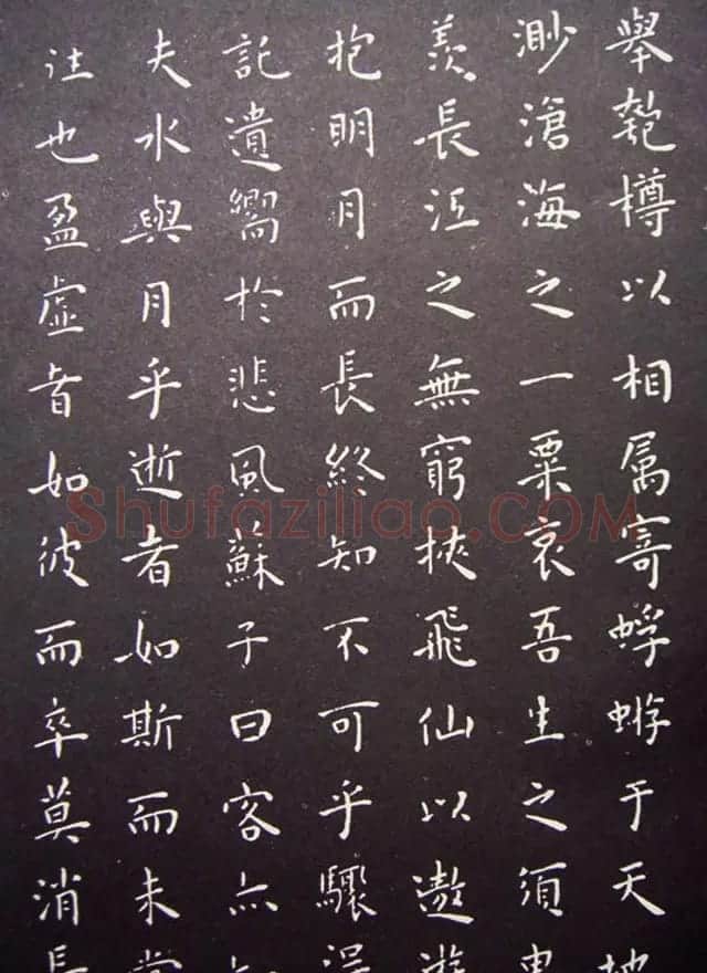 明代王宠小楷书法《前后赤壁赋》 | 名家书法作品精选