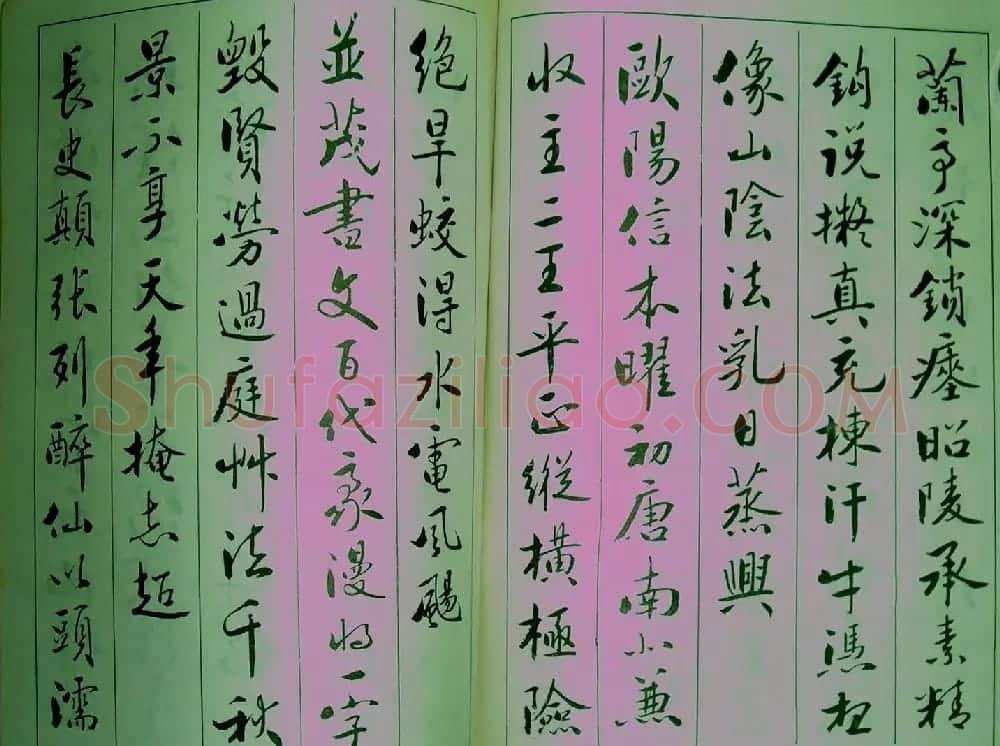 青少年行书范本《廖蕴玉著并书.论书七绝句一百首》 | 软笔行书字帖
