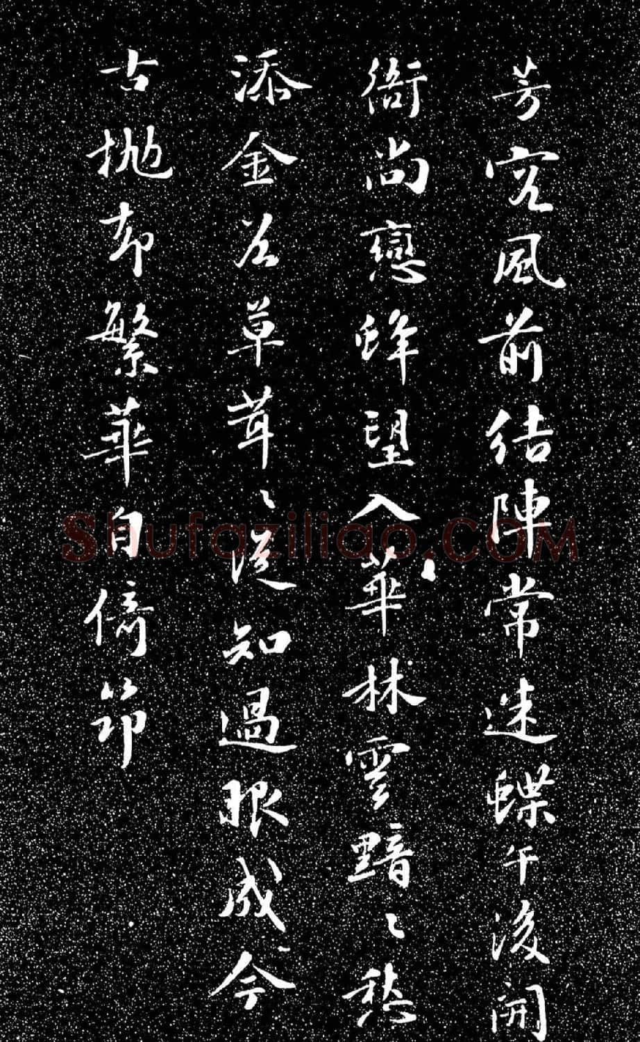 苏东坡49岁书落花诗（日本藏） | 软笔书法作品