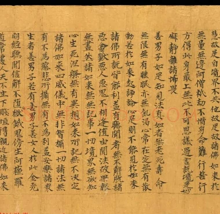 敦煌写经欣赏《金光明最胜王经卷第二》俄藏 | 敦煌写经鉴赏