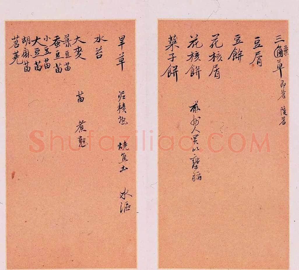 明代徐光启手迹欣赏《农政全书札记册》 | 书法名家作品欣赏