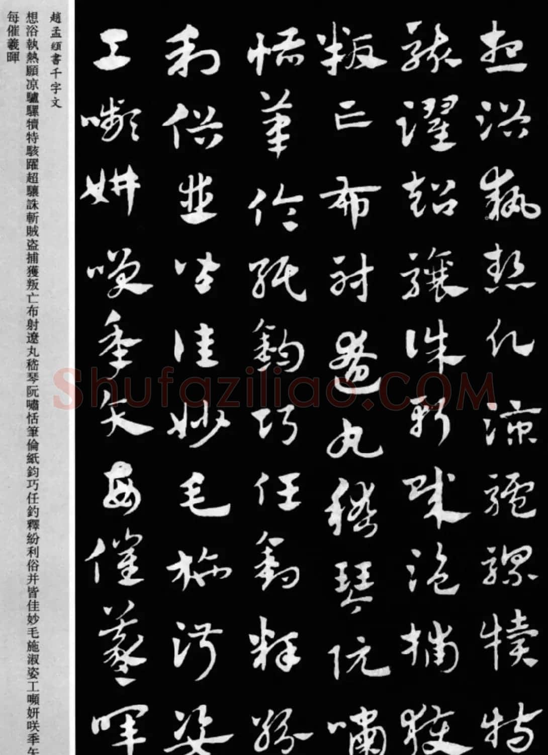 赵孟頫书法章草千字文(附释文)图片17P | 软笔草书字帖