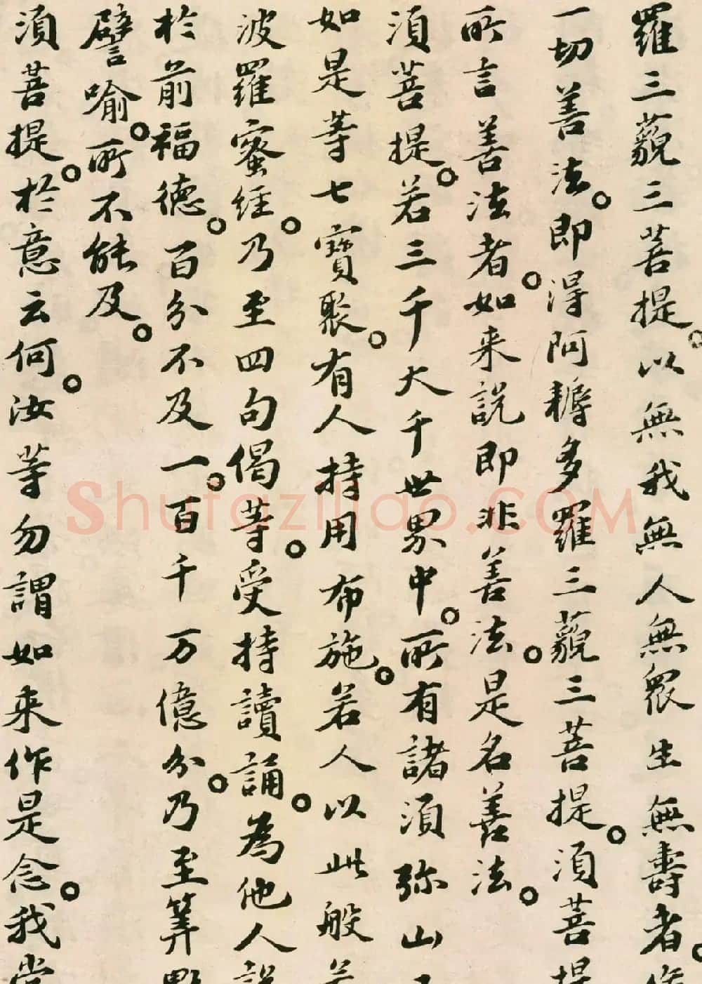 北宋苏轼小楷欣赏《金刚经》 | 软笔书法作品