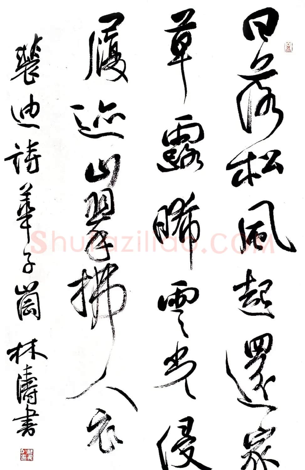 甘肃书协秘书长林涛行草书欣赏 | 书法作品欣赏