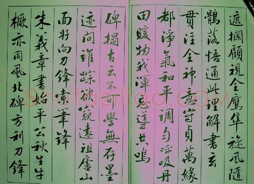 青少年行书范本《廖蕴玉著并书.论书七绝句一百首》 | 软笔行书字帖