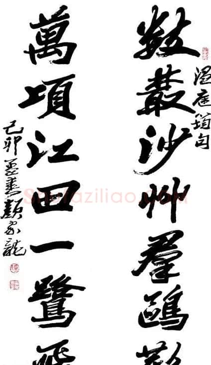 湖南书协主席颜家龙书法作品欣赏 | 软笔书法作品