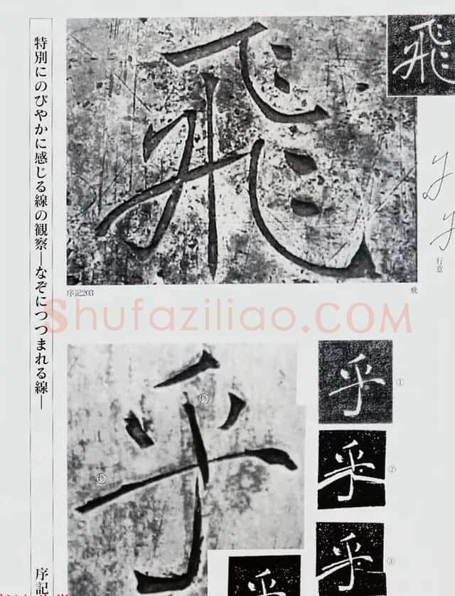 荒金大琳编著《褚遂良雁塔圣教序扩大观察记录》 | 毛笔楷书字帖