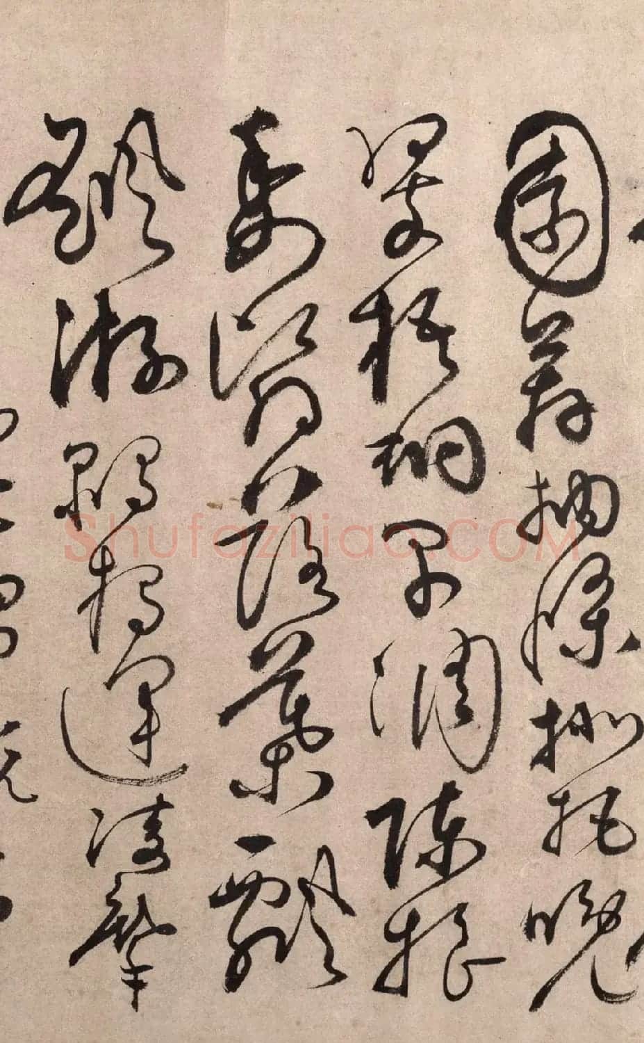 明代书法家张弼草书欣赏《千字文》手卷 | 书法长卷