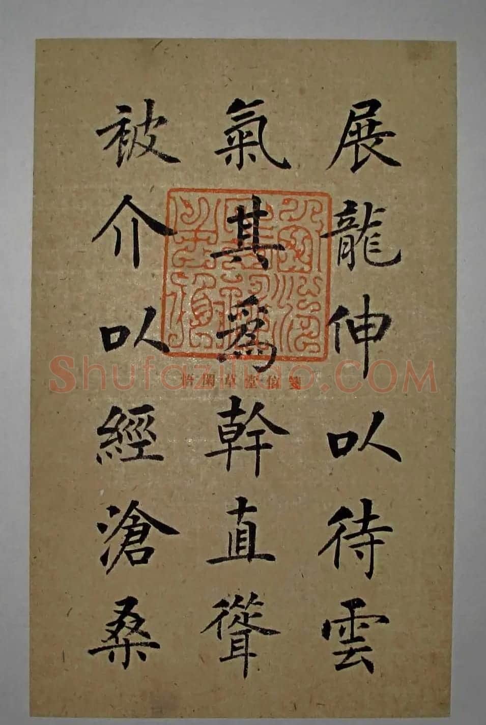 杨华书法楷书册页《松赋》 | 书法名家作品鉴赏