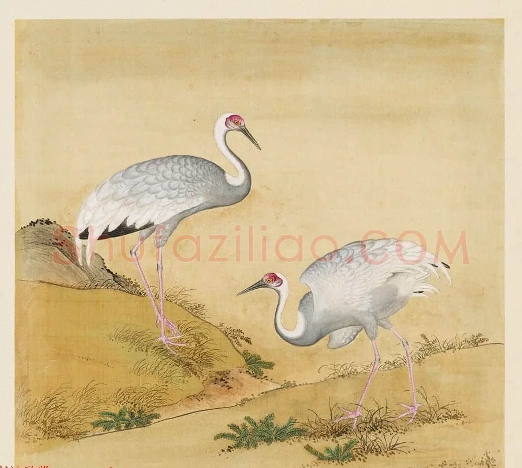 汉文满文字画欣赏《清人鸟谱册》 | 传世书法作品欣赏