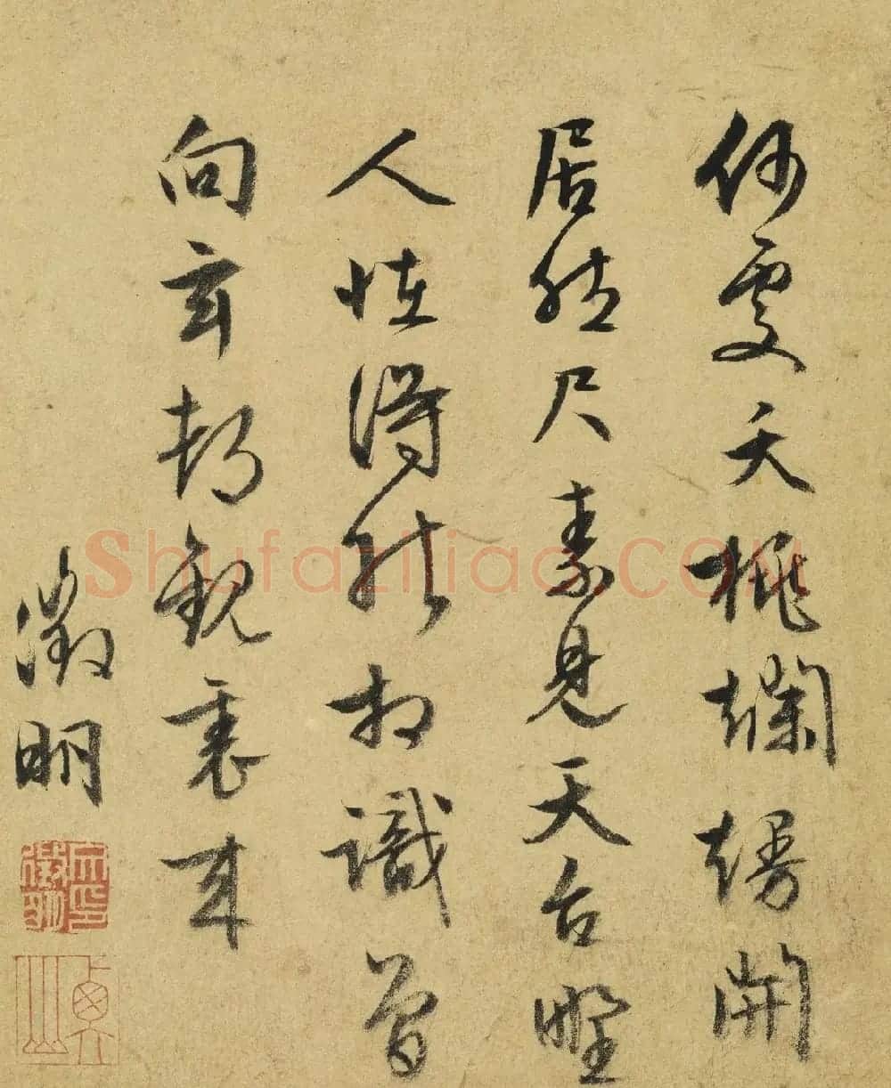 文徵明草书题陆治写生册 | 传世书法作品赏析