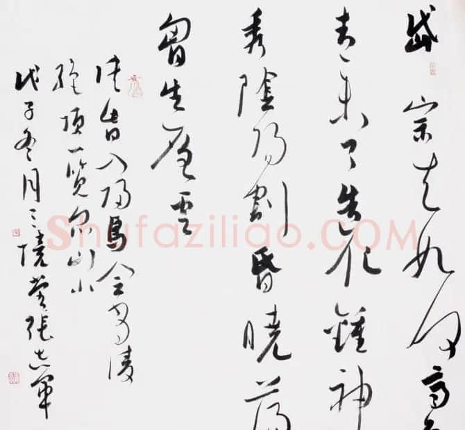 张志军书法作品草书欣赏 | 软笔书法作品