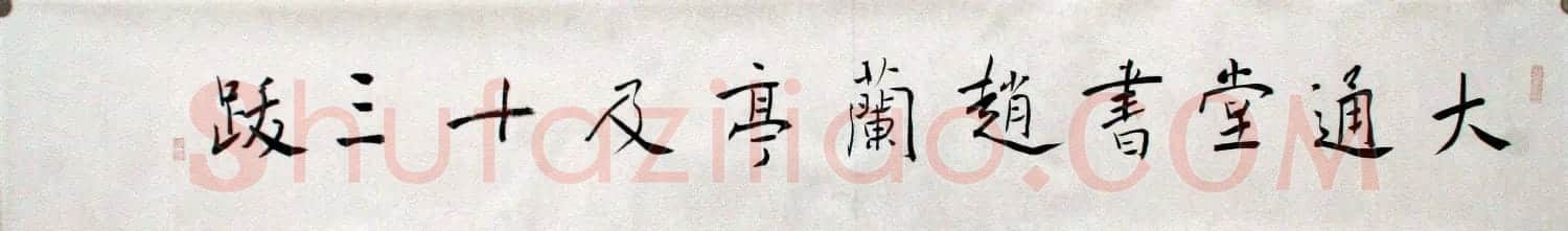 陈忠康行书临《兰亭十三跋》长卷 | 书法长卷