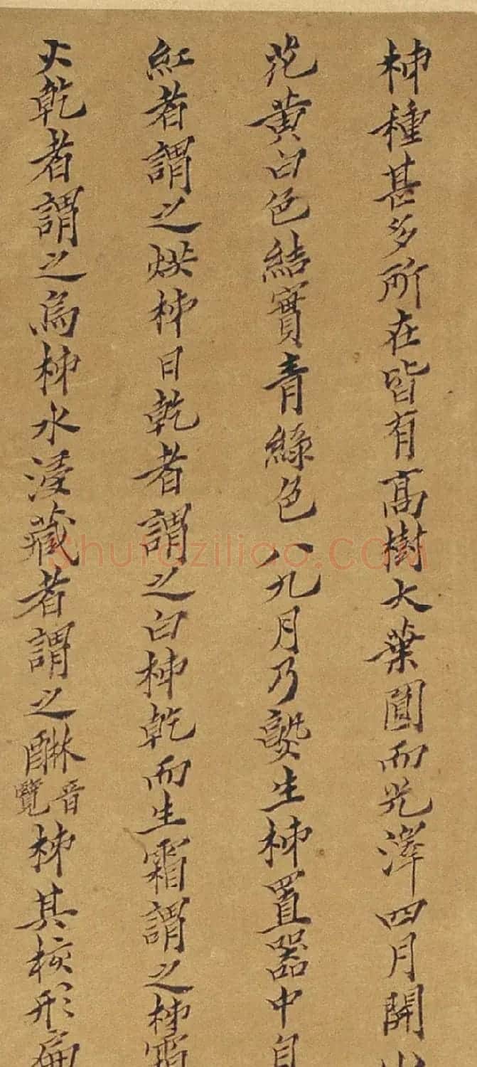 周淑禧、周淑祜两姐妹小楷《本草图》四条屏 | 传世书法作品精选
