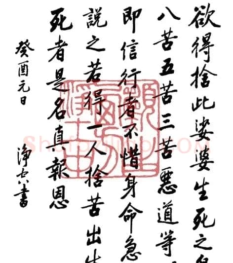 净空法师书法墨宝集锦 | 书法作品欣赏