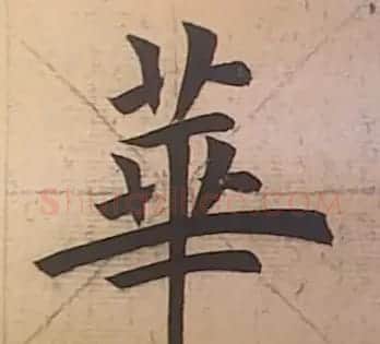 田雪松书法培训班学习笔记 | 书画资料