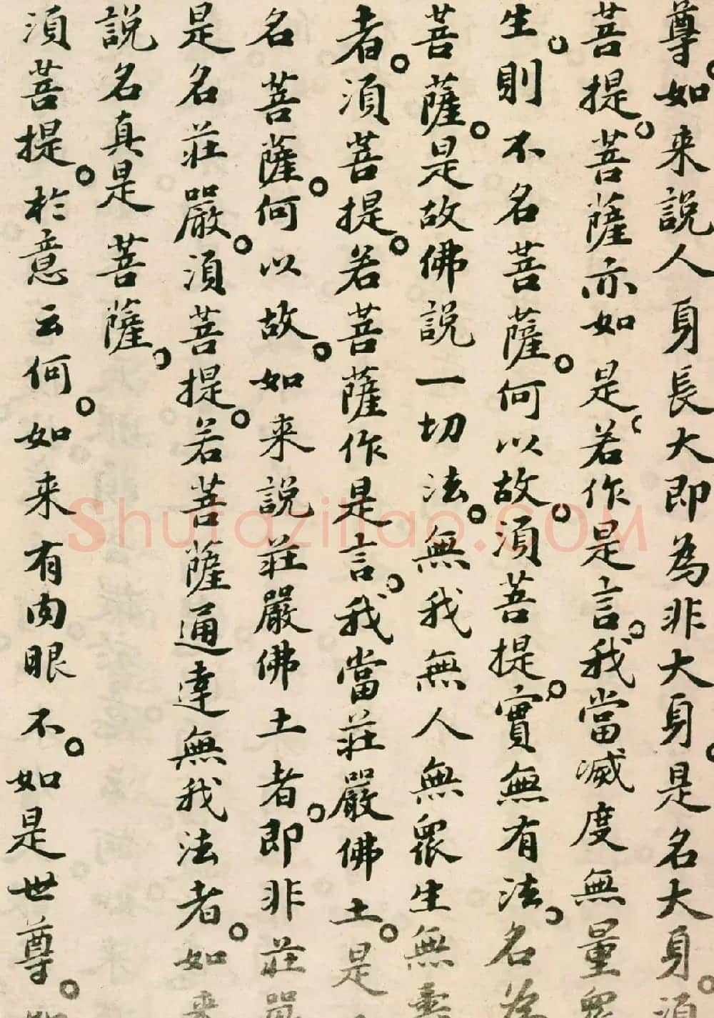 北宋苏轼小楷欣赏《金刚经》 | 软笔书法作品