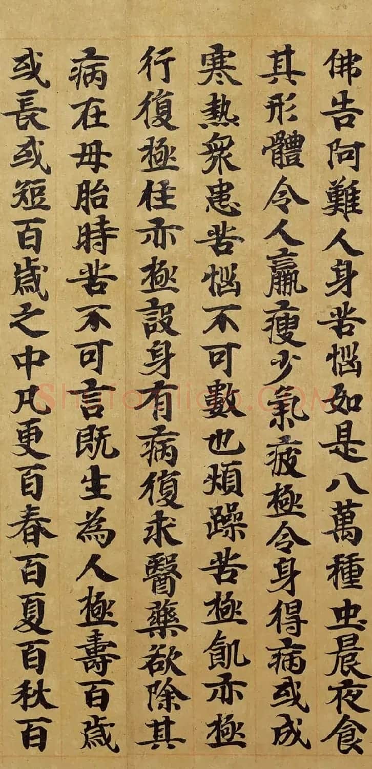 宋人写经卷《佛说胞胎经》传世残本 | 书法长卷