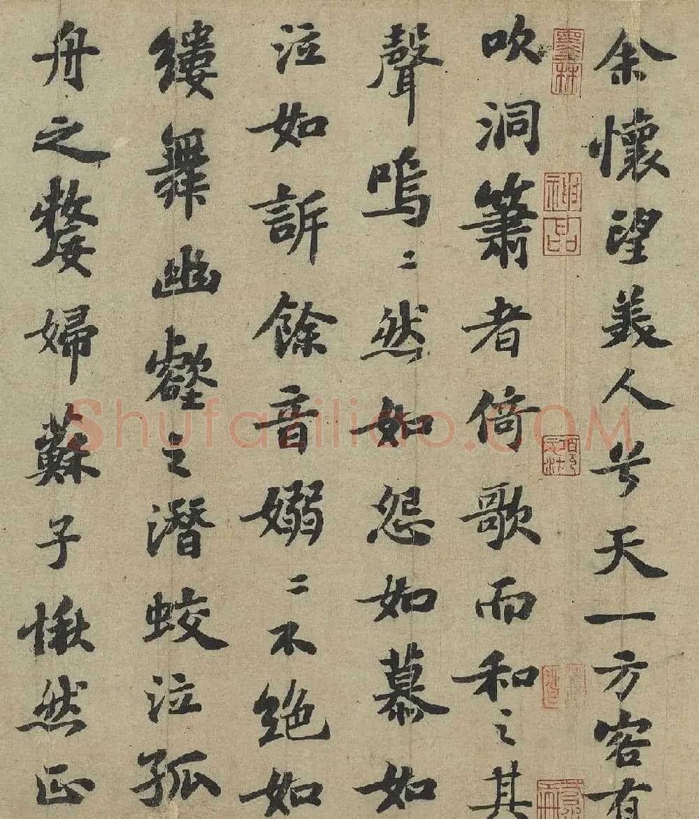苏轼行楷书法欣赏《前赤壁赋》 | 毛笔书法作品