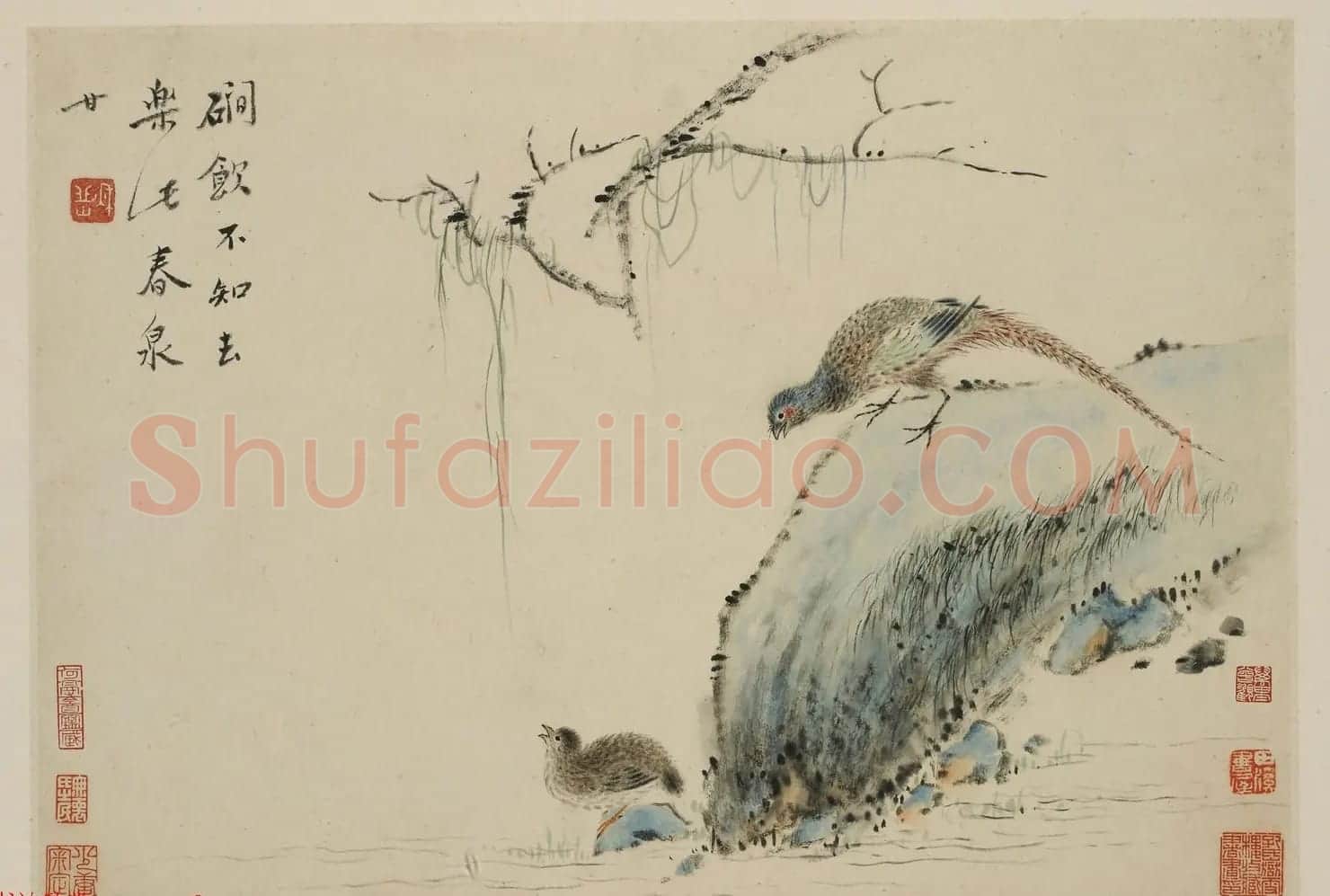 华喦绘画作品《新罗山人花鸟册》美国弗利尔美术馆藏 | 传世书法作品赏析