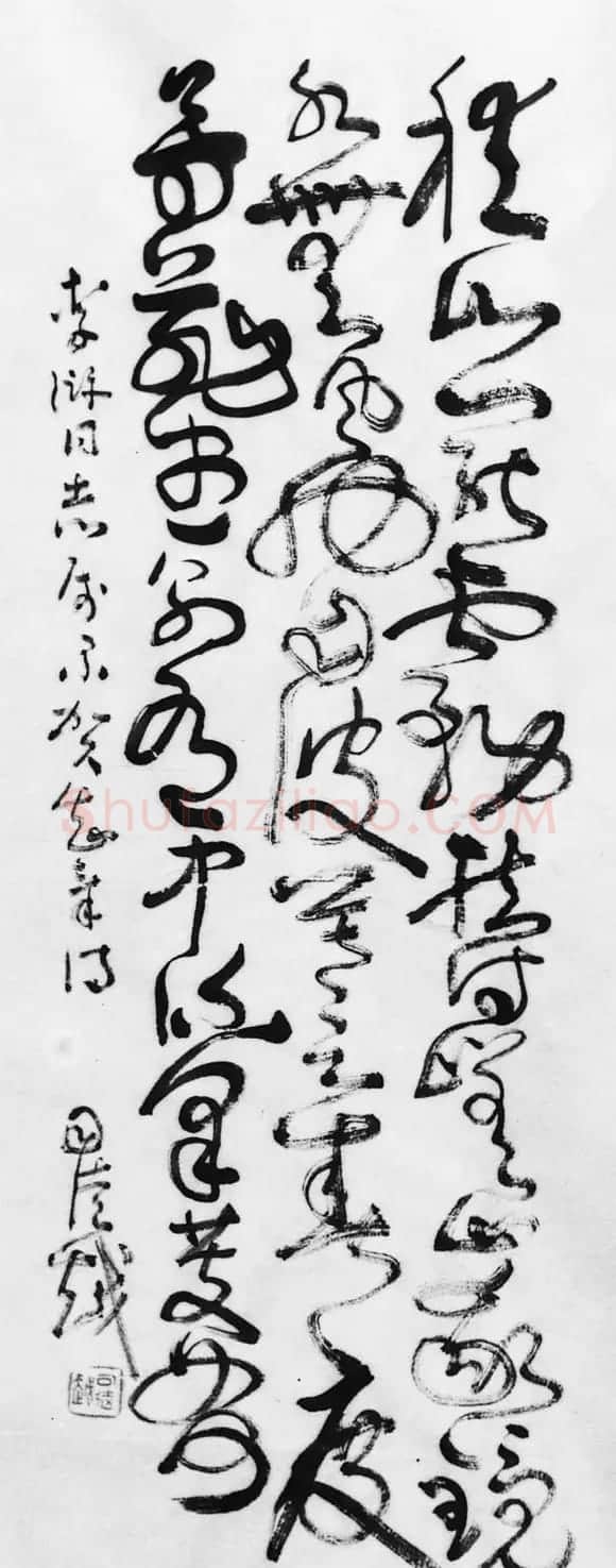安徽司徒越草书作品欣赏 | 书法作品鉴赏