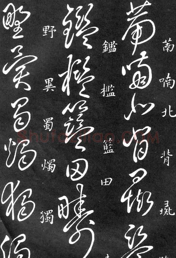 王羲之家藏原本《草书要领》 | 软笔草书字帖