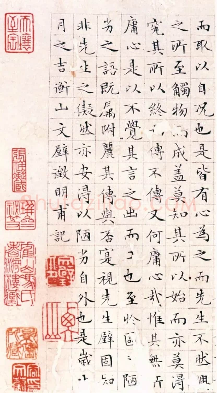 文徵明书法精品小楷抄录《落花诗册》 | 名家书法作品赏析