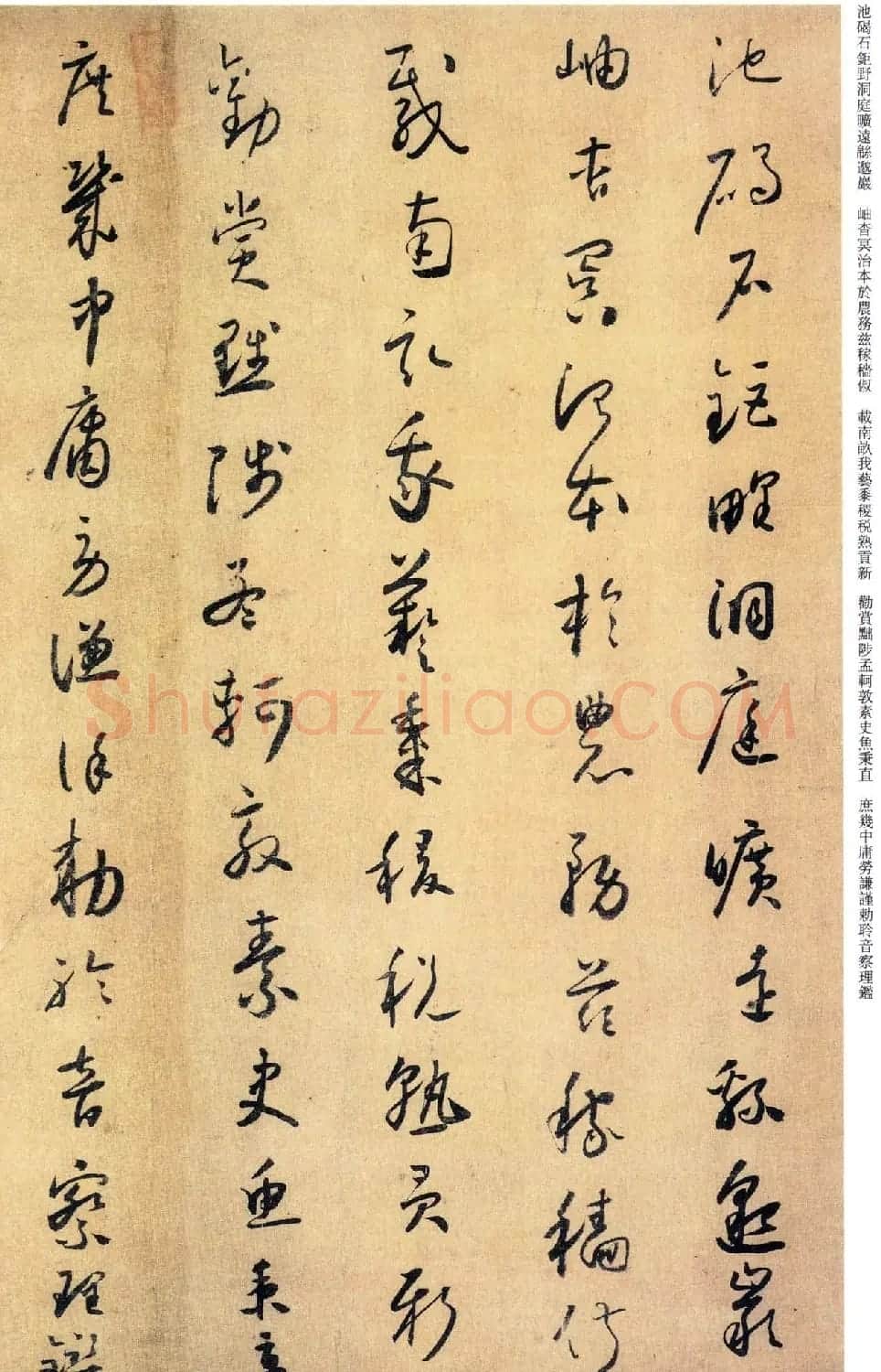 唐代怀素《小草千字文》墨迹 | 毛笔草书字帖