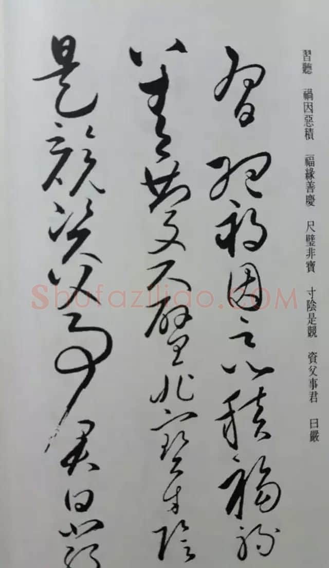 罕见的怀素草书《千字文》净云枝藏帖 | 软笔草书字帖