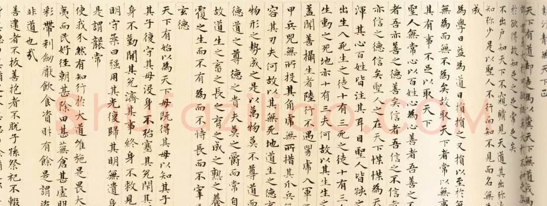 赵孟頫小楷欣赏《老子道德经卷》 | 名家书法作品赏析
