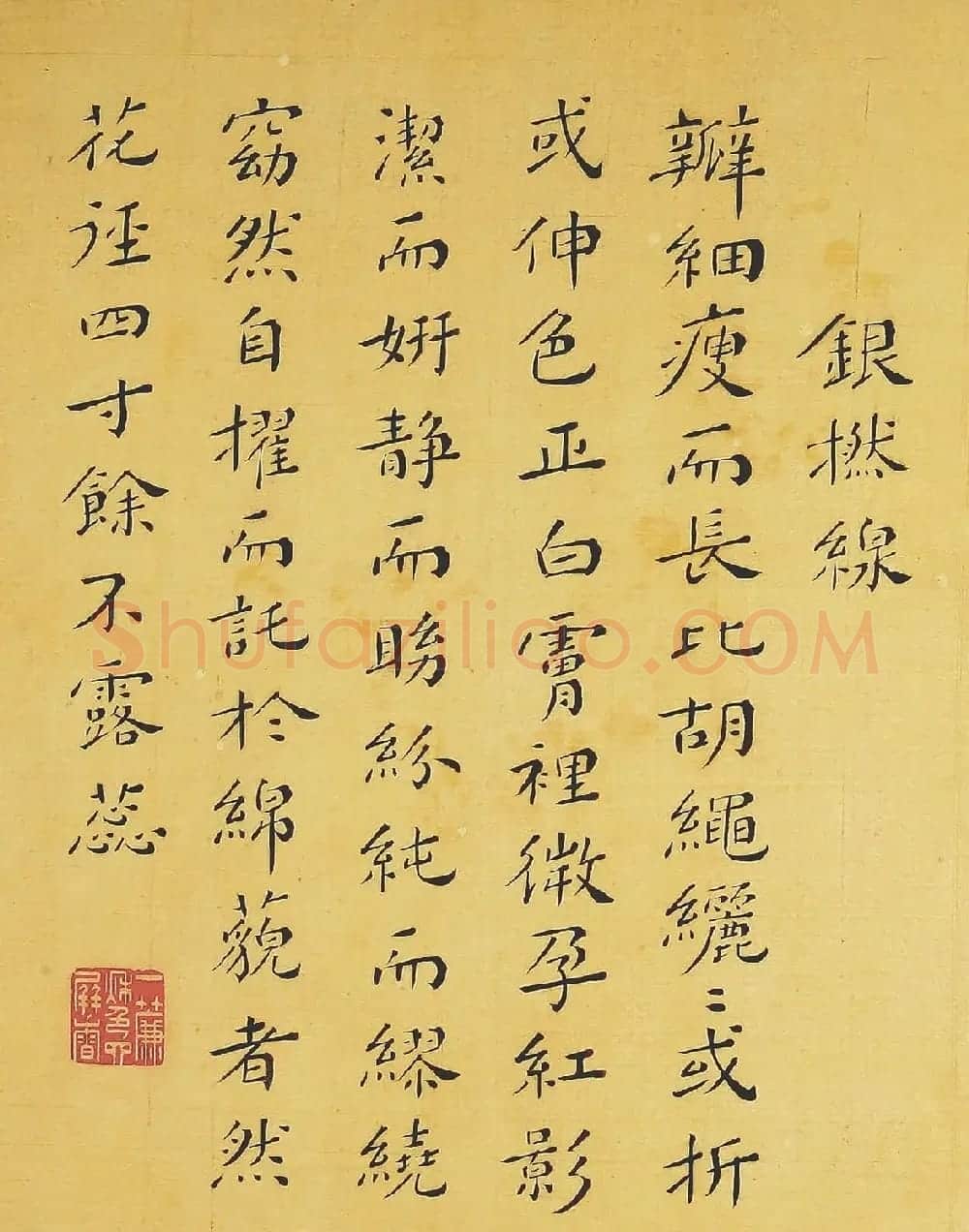 清代书法家湛畗书《菊谱》册页 | 传世书法作品精选