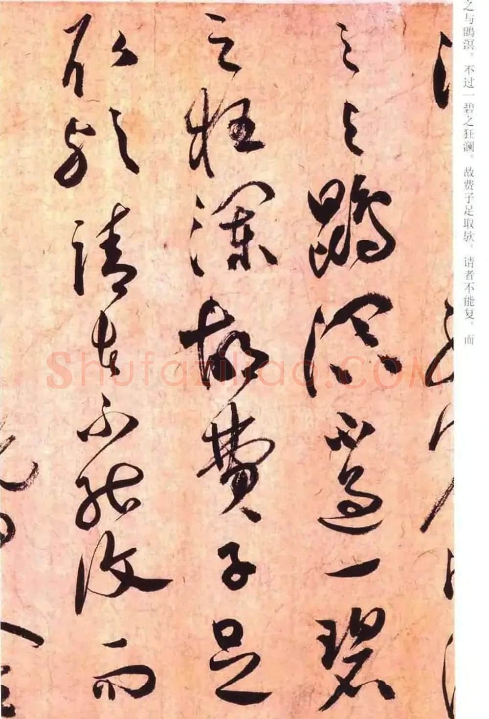 祝允明草书书法赏析《云江记》 | 名家书法作品赏析