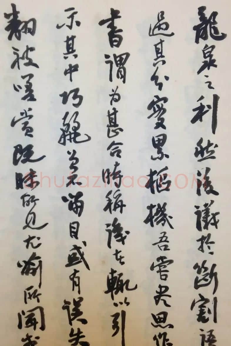 费新我书法册页欣赏《书谱》 | 书法作品欣赏