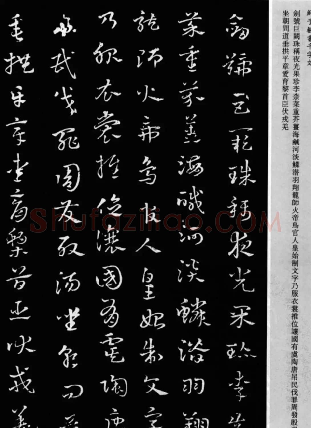 鲜于枢章草书法欣赏《千字文》大图 | 软笔草书字帖