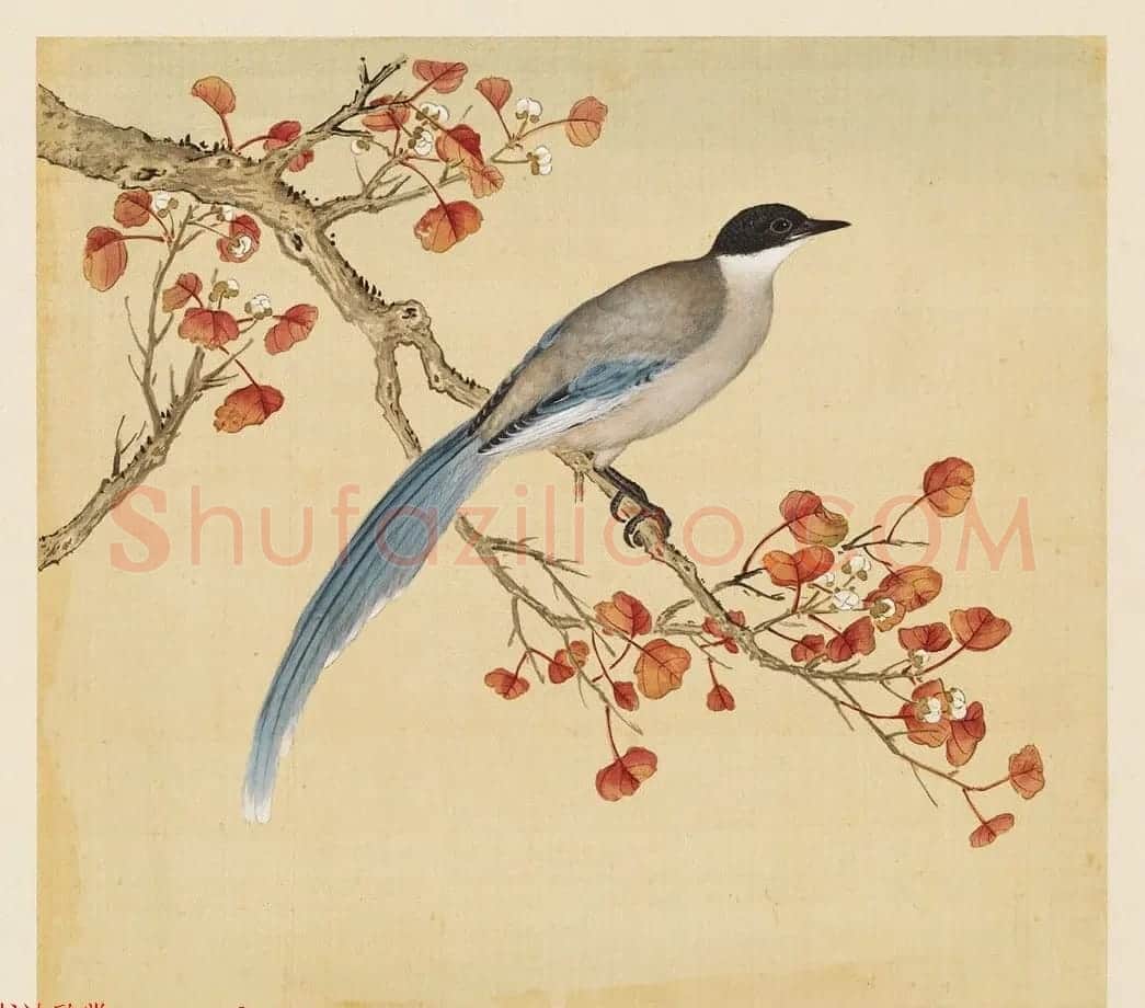 汉文满文字画欣赏《清人鸟谱册》 | 传世书法作品欣赏