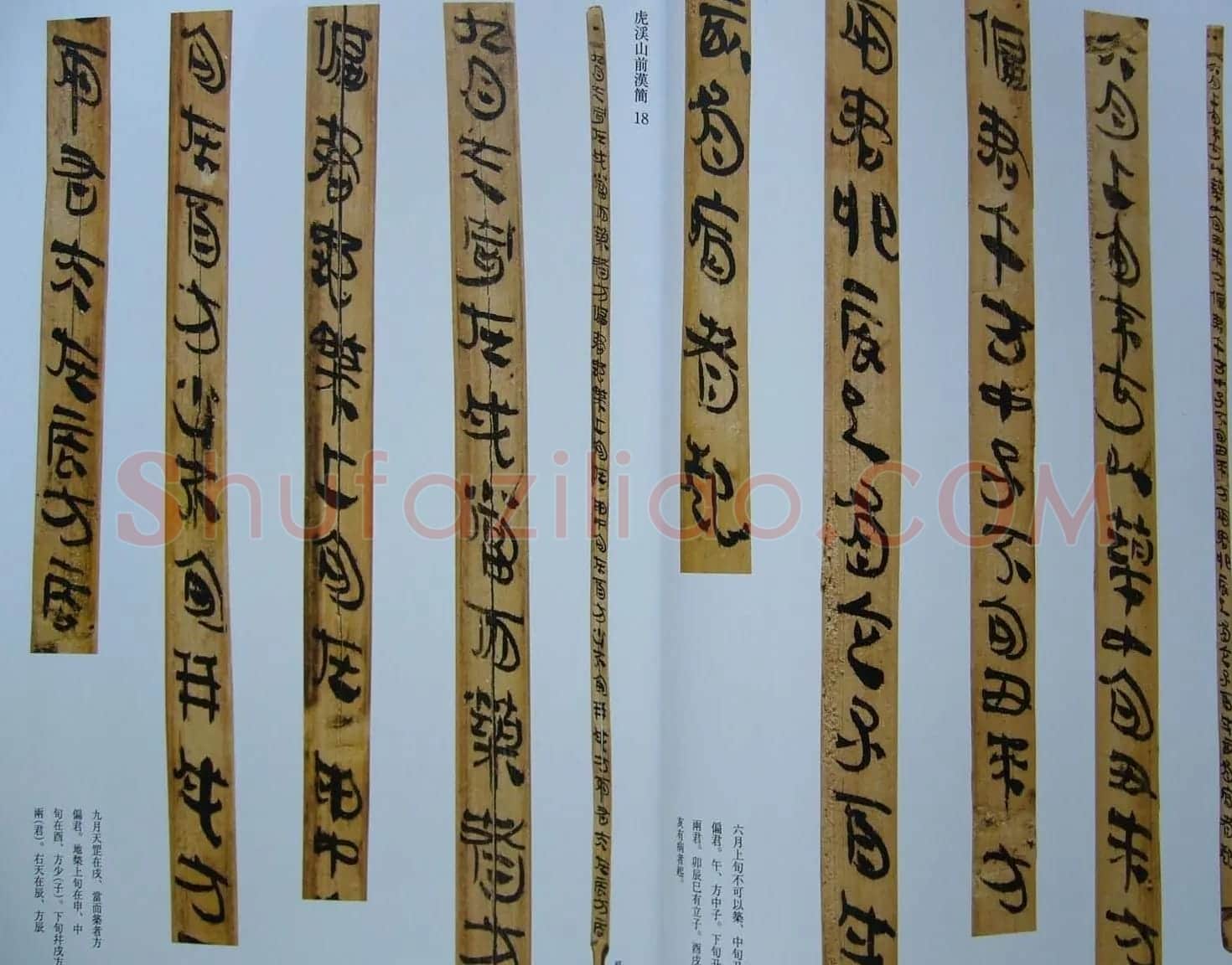 汉代书法竹简欣赏《虎溪山前汉简》 | 名家书法作品赏析