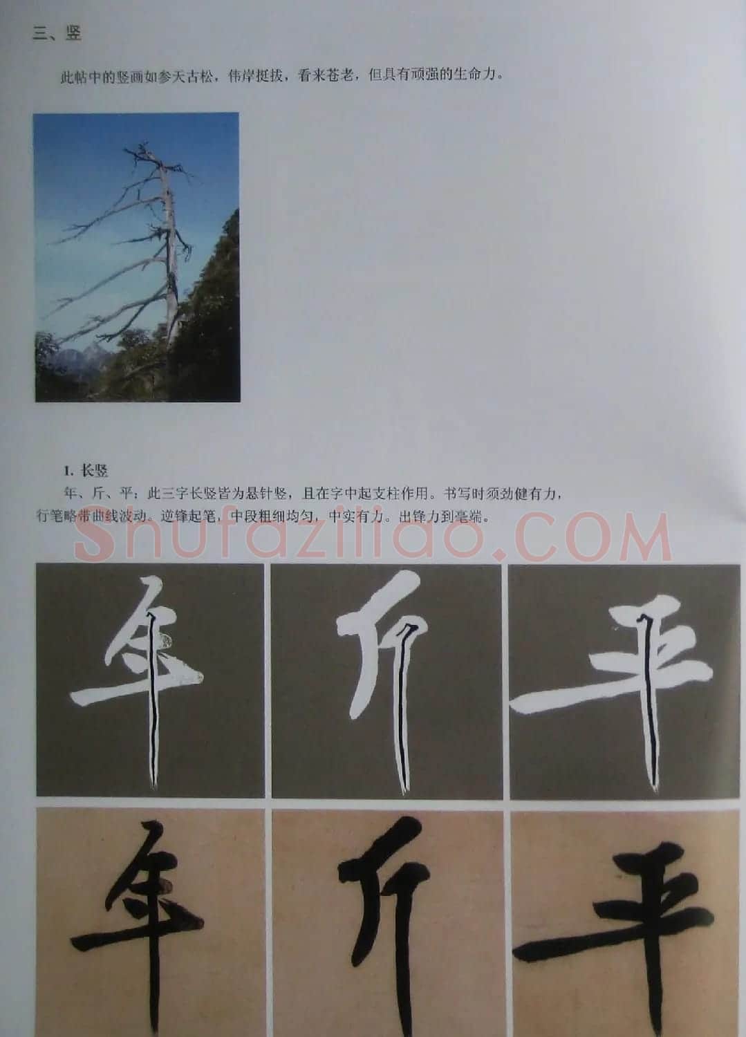 黄庭坚行书技法字帖《松风阁诗帖笔法》 | 毛笔行书字帖