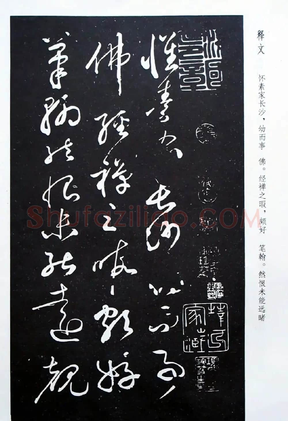 《怀素草书自叙帖》蜀中石氏藏本 | 毛笔草书字帖