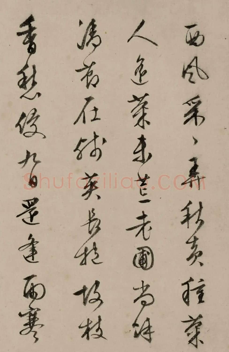 文徵明(款)存菊图并赋诗 | 传世书法作品欣赏