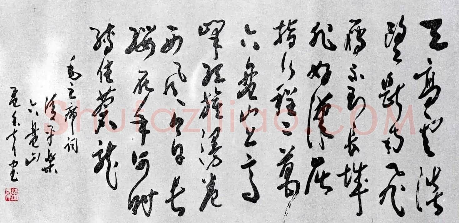 百位书法家书写毛泽东诗词作品横幅 | 书法名家作品鉴赏