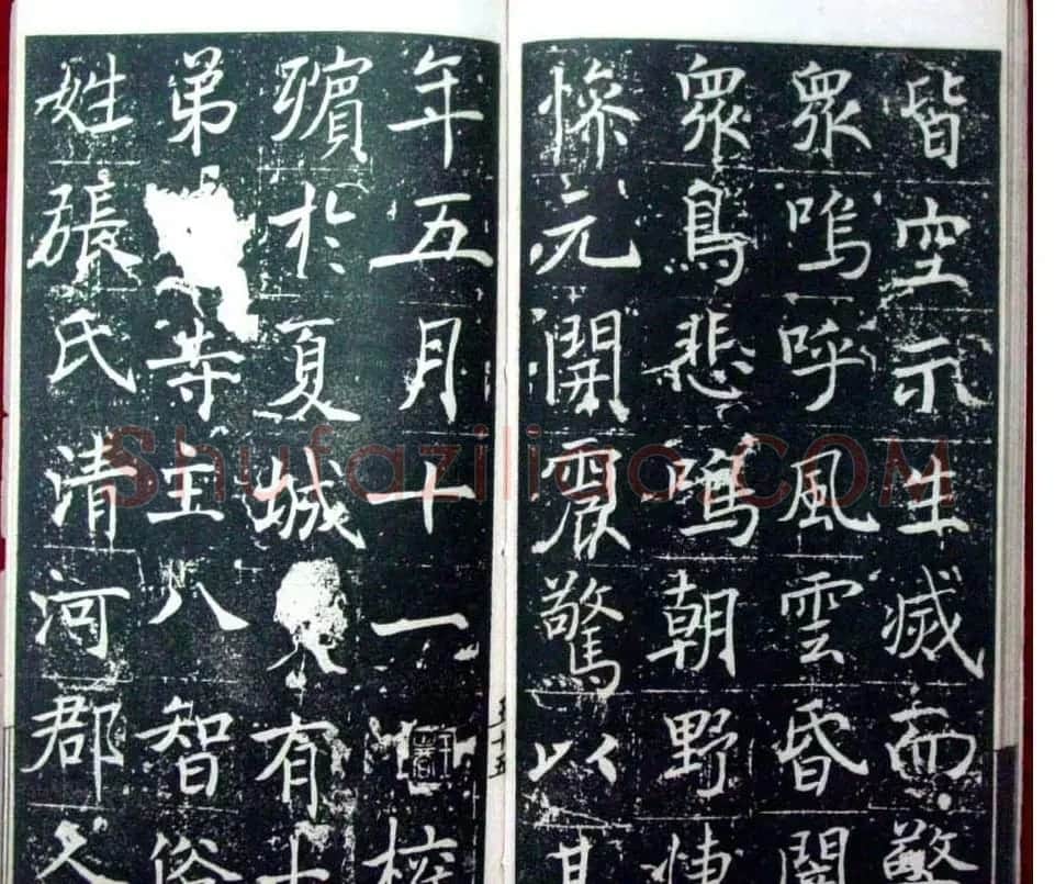 褚遂良楷书欣赏善才寺碑宋拓本 | 书法碑帖