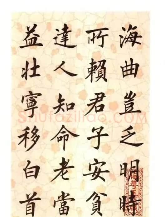 刘小晴楷书字帖欣赏《滕王阁序》 | 软笔楷书字帖