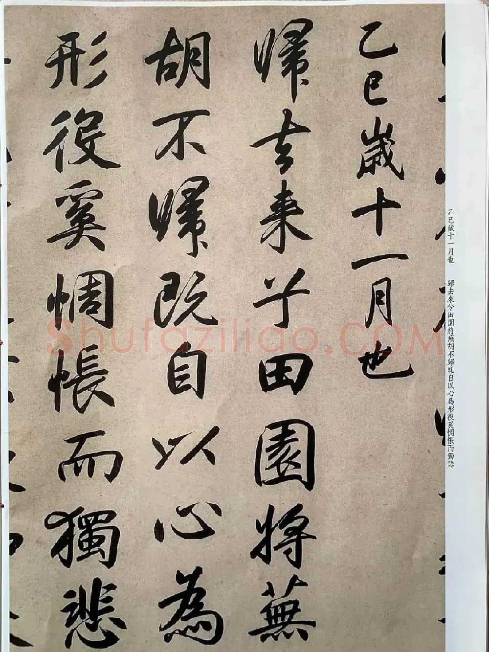 元代张畴斋行书《归去来兮辞》彩色放大本 | 毛笔行书字帖