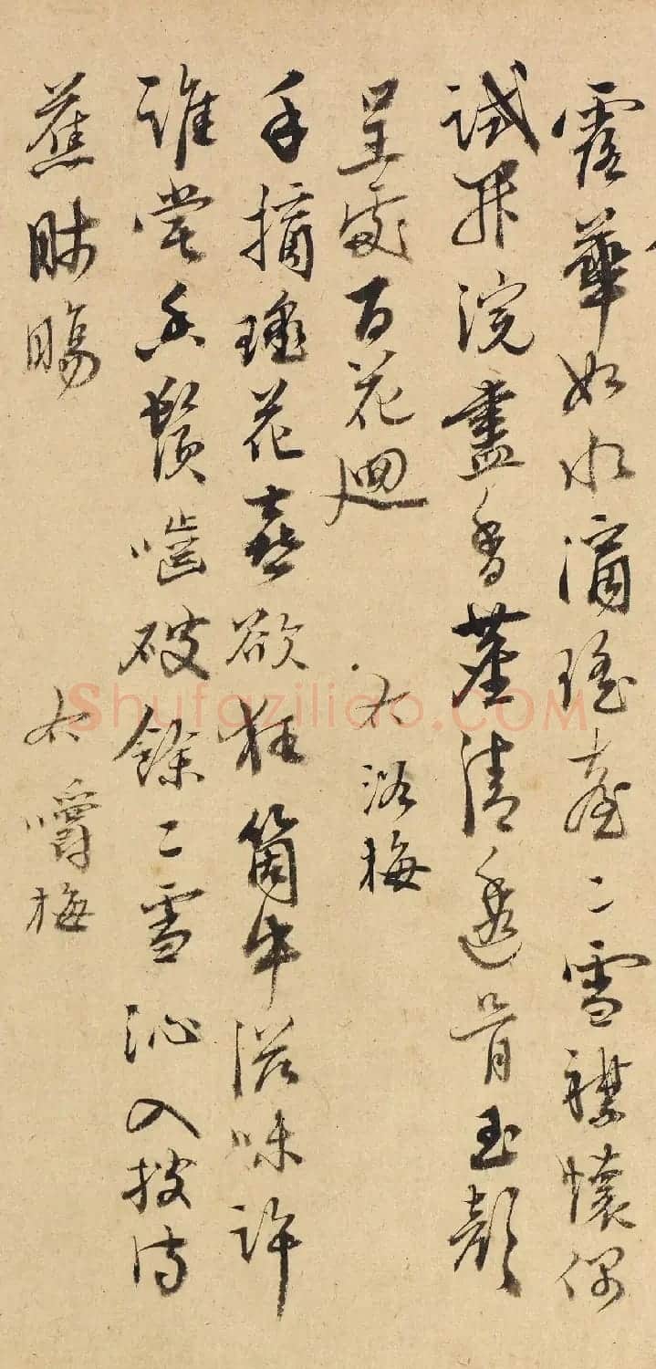 明代金湜行草书《梅花诗十首》 | 书法名家作品鉴赏