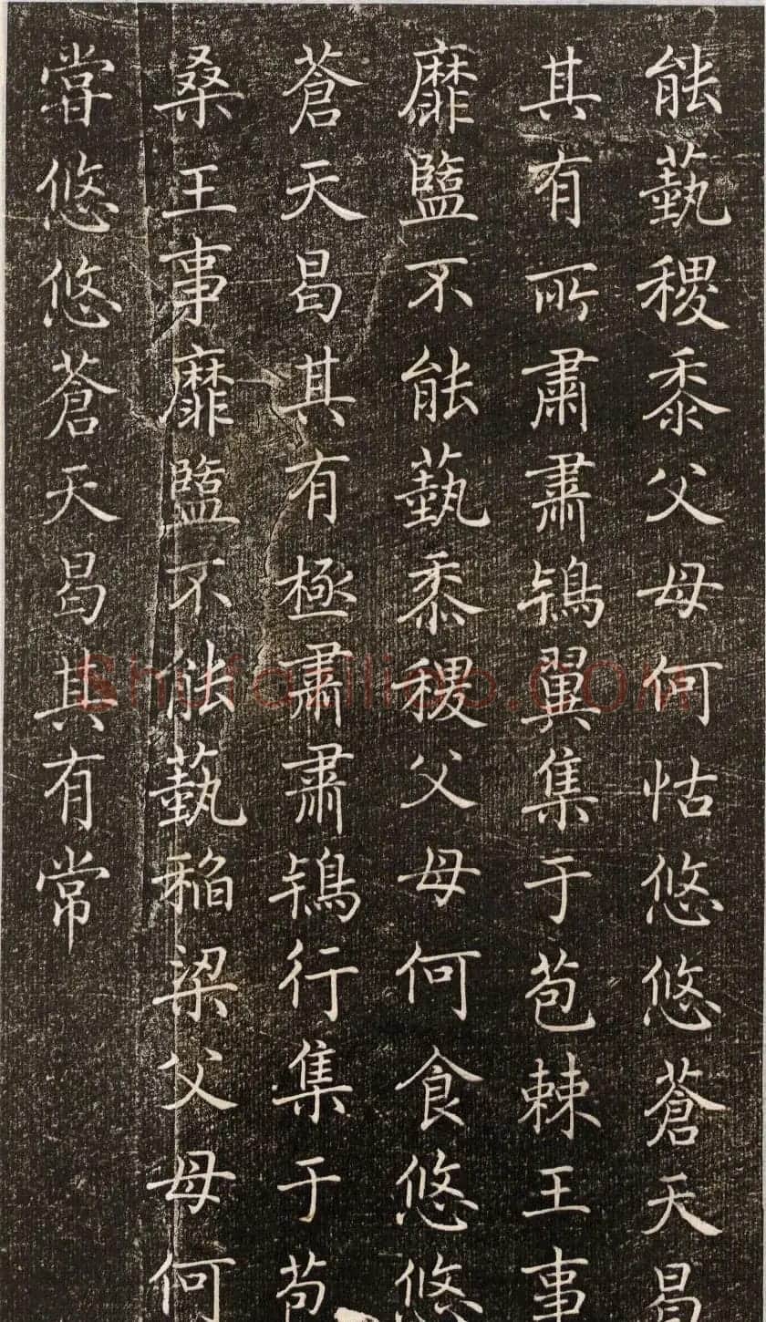 唐朝宰相褚遂良小楷《诗唐风》 | 书法碑帖