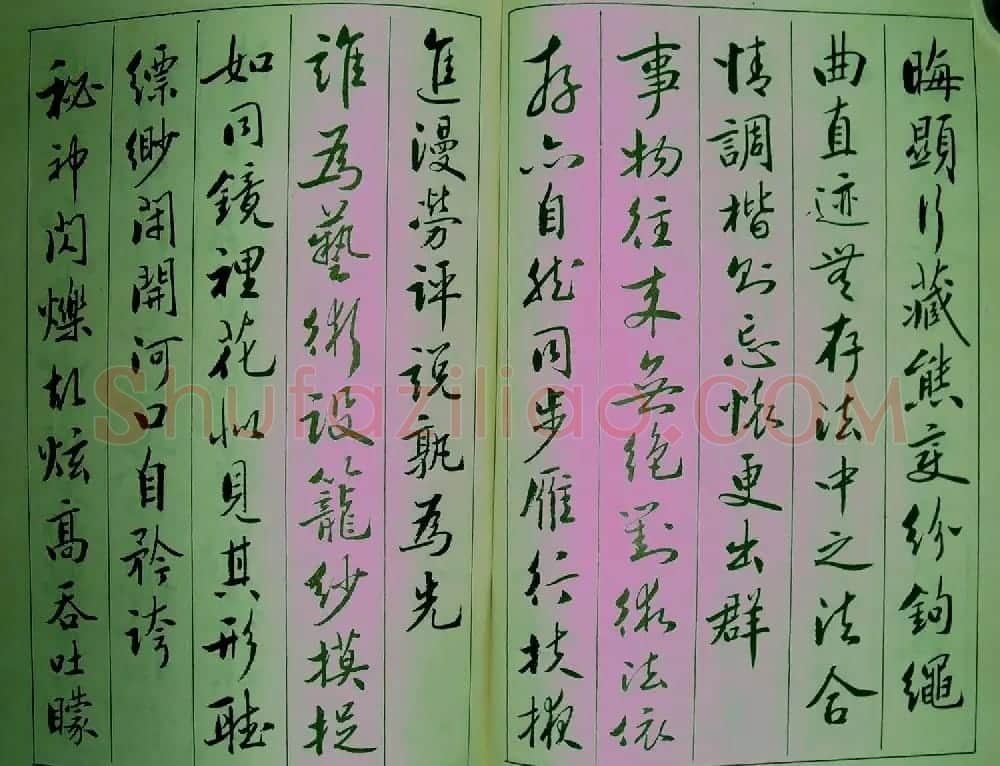 青少年行书范本《廖蕴玉著并书.论书七绝句一百首》 | 软笔行书字帖